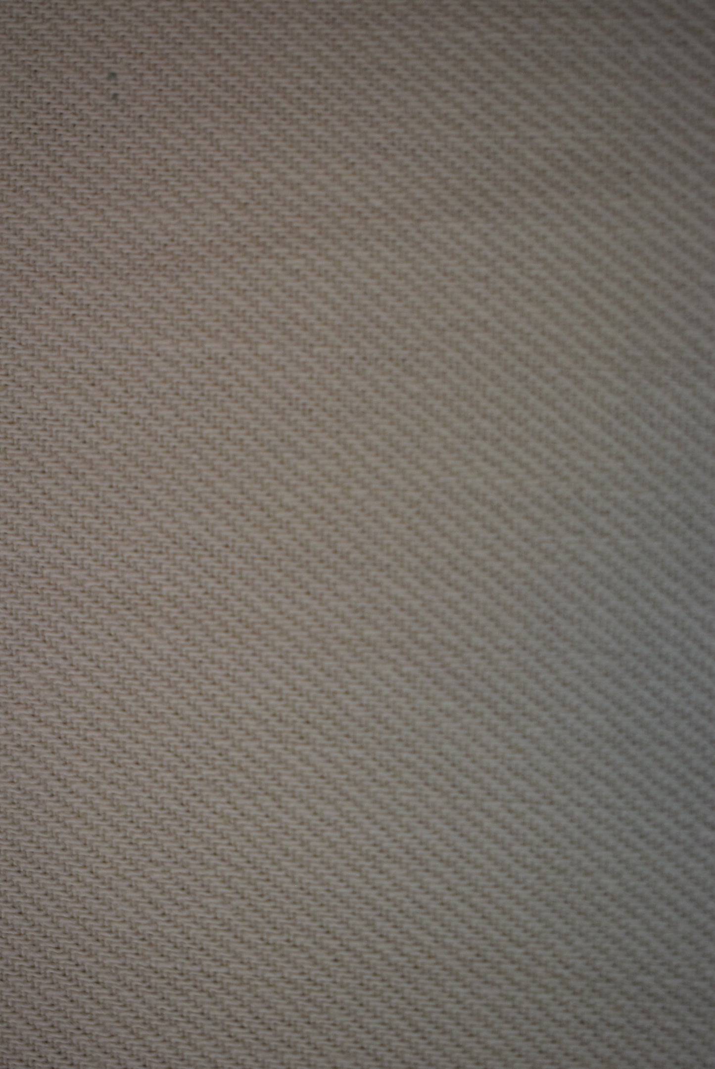 Heavy Washed Twill - Calico