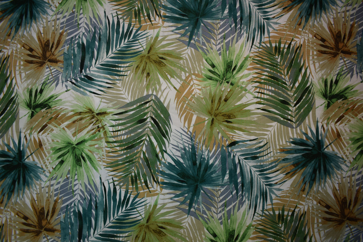 'Ferns' Lawn