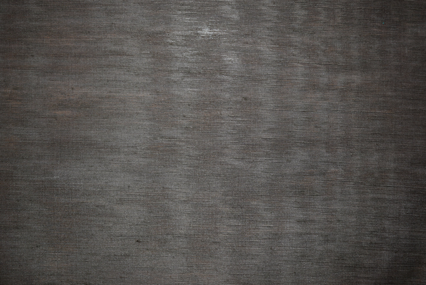 Platinum Linen/ Silk Muslin