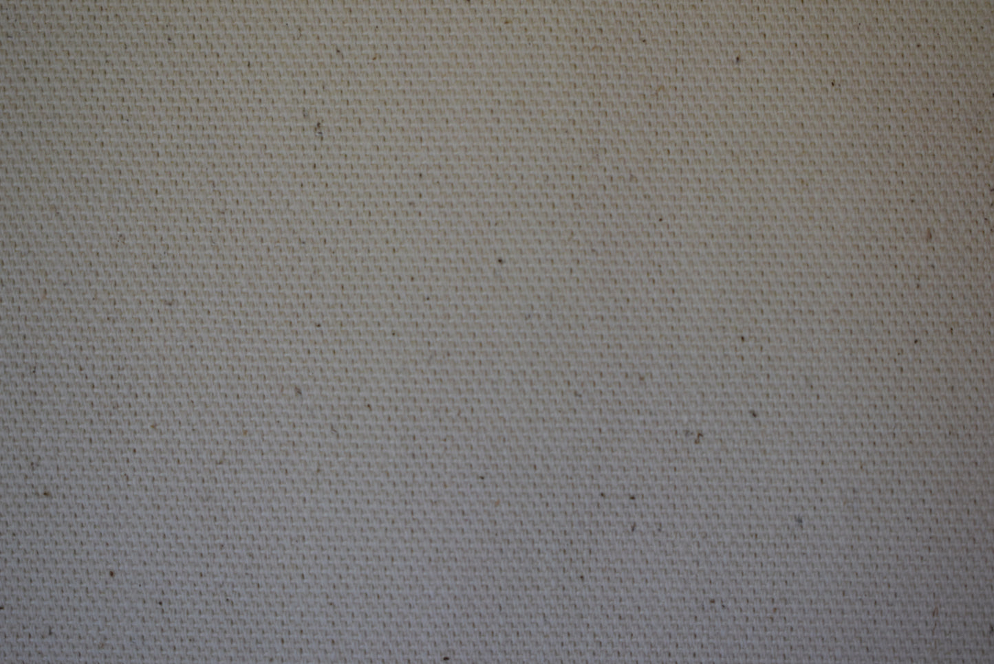 Loomstate Artist Canvas
