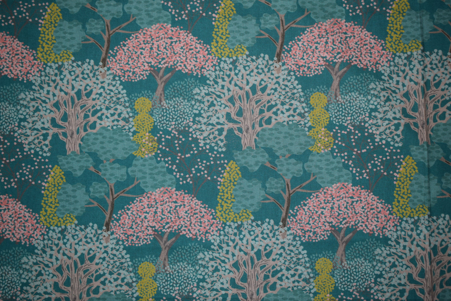 'Secret Garden' - Enchanted Trees