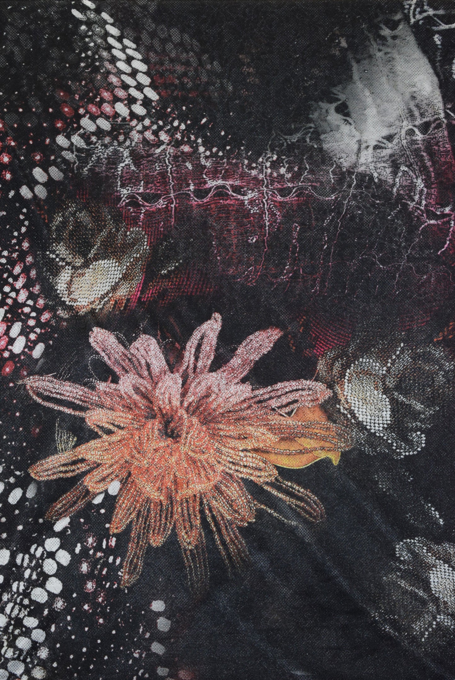 'Lacewing' Digital Rose Knit