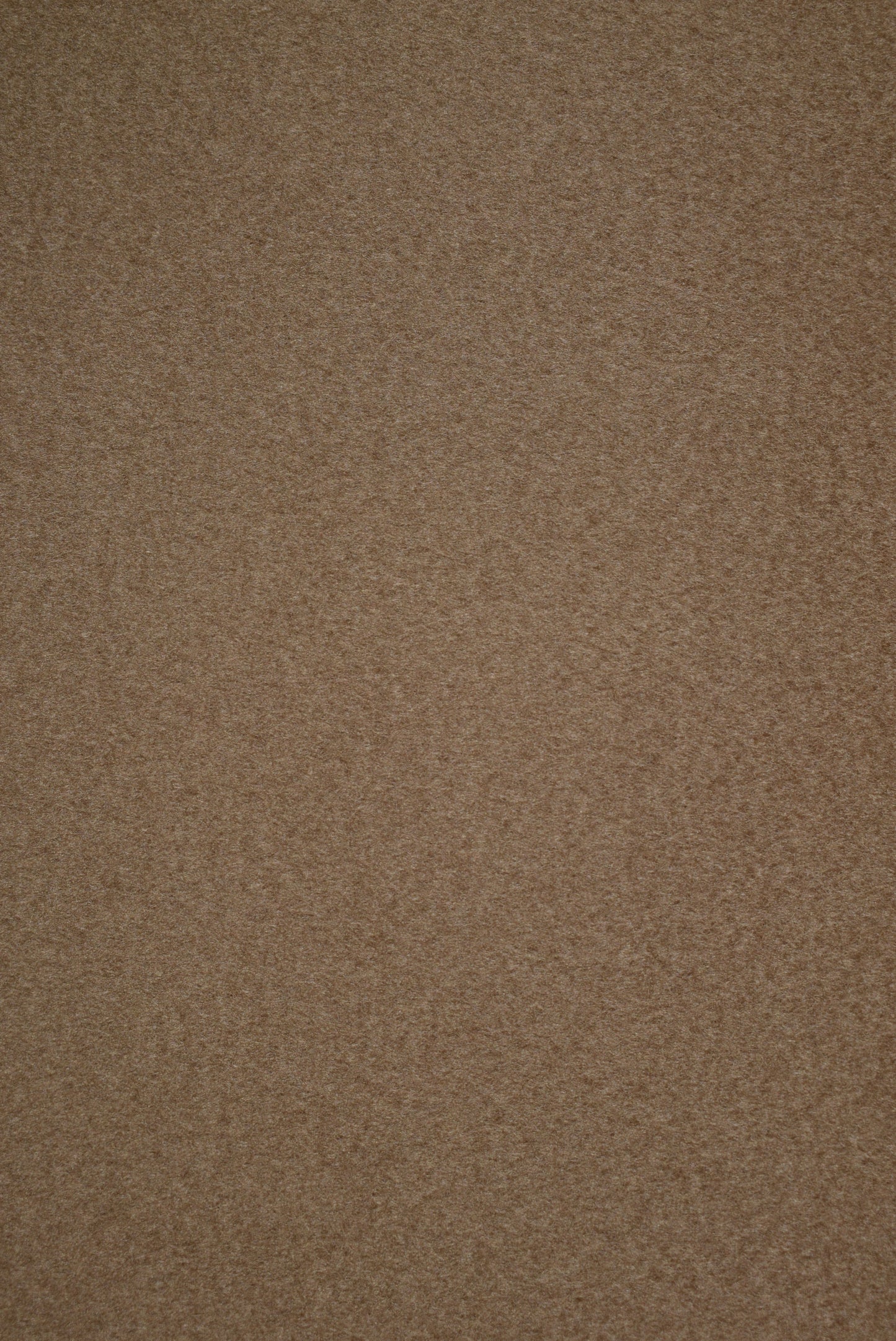 Camel Coating