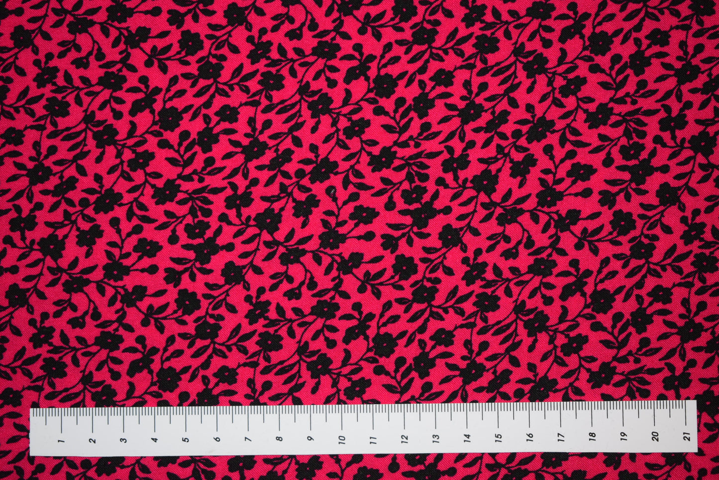 'Dita' - Cerise