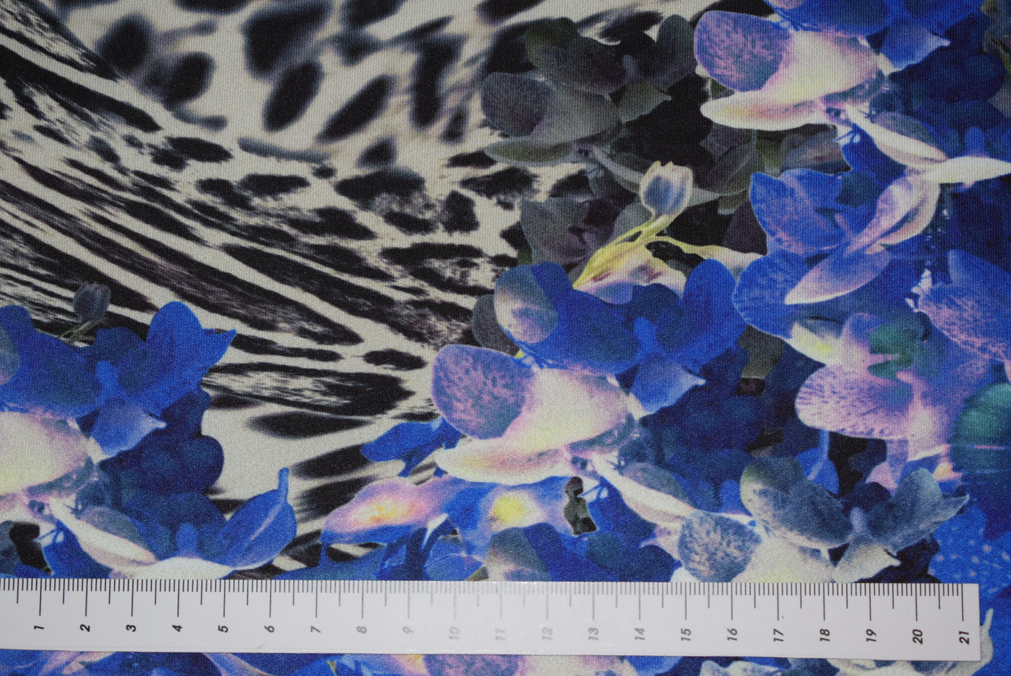 Blue Orchids 'Scuba'