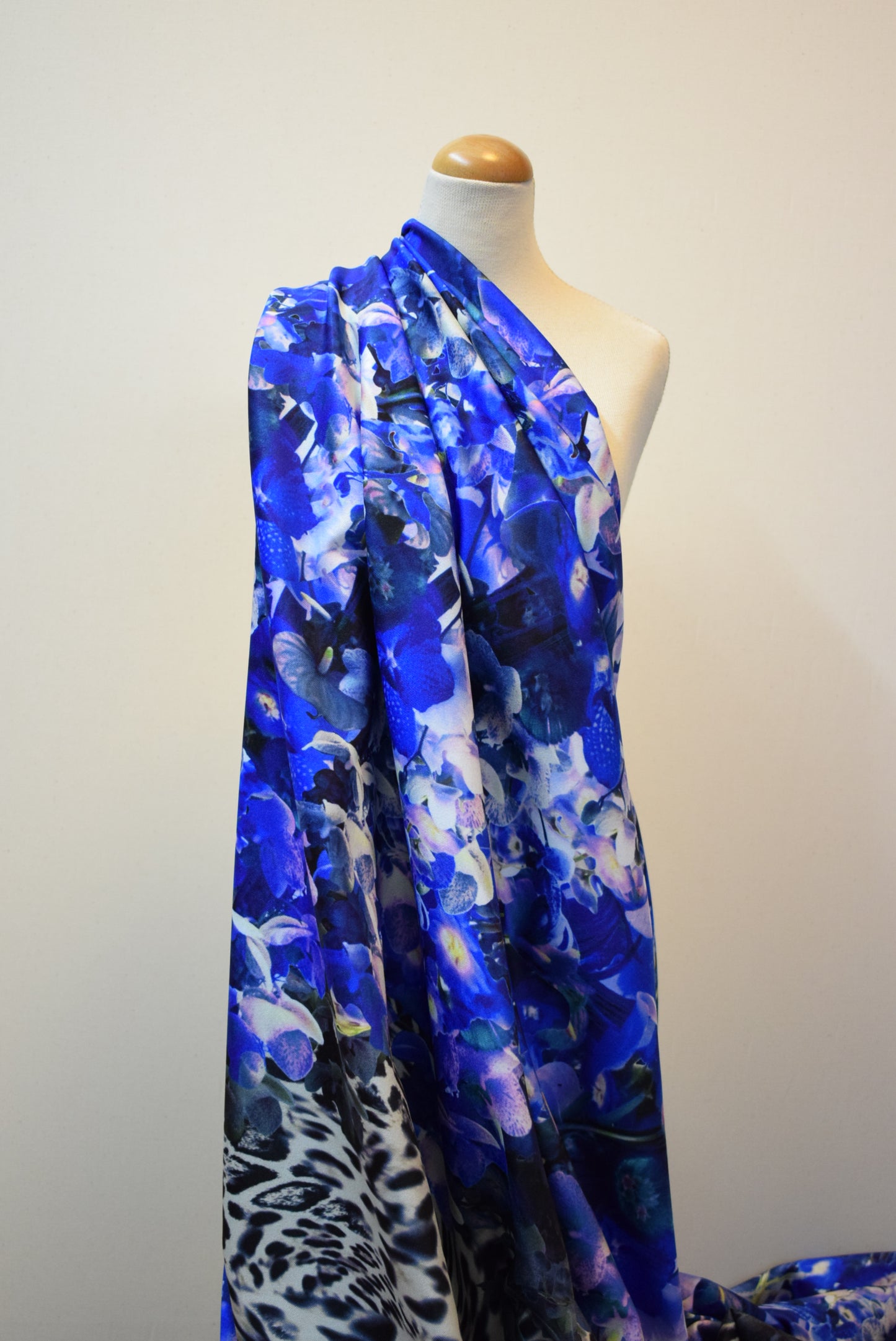 Blue Orchids 'Scuba'