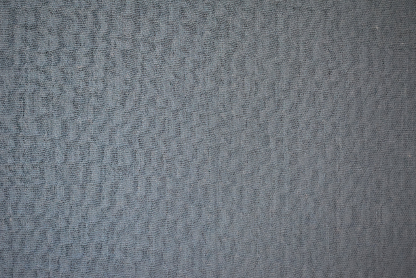 Cotton Canvas