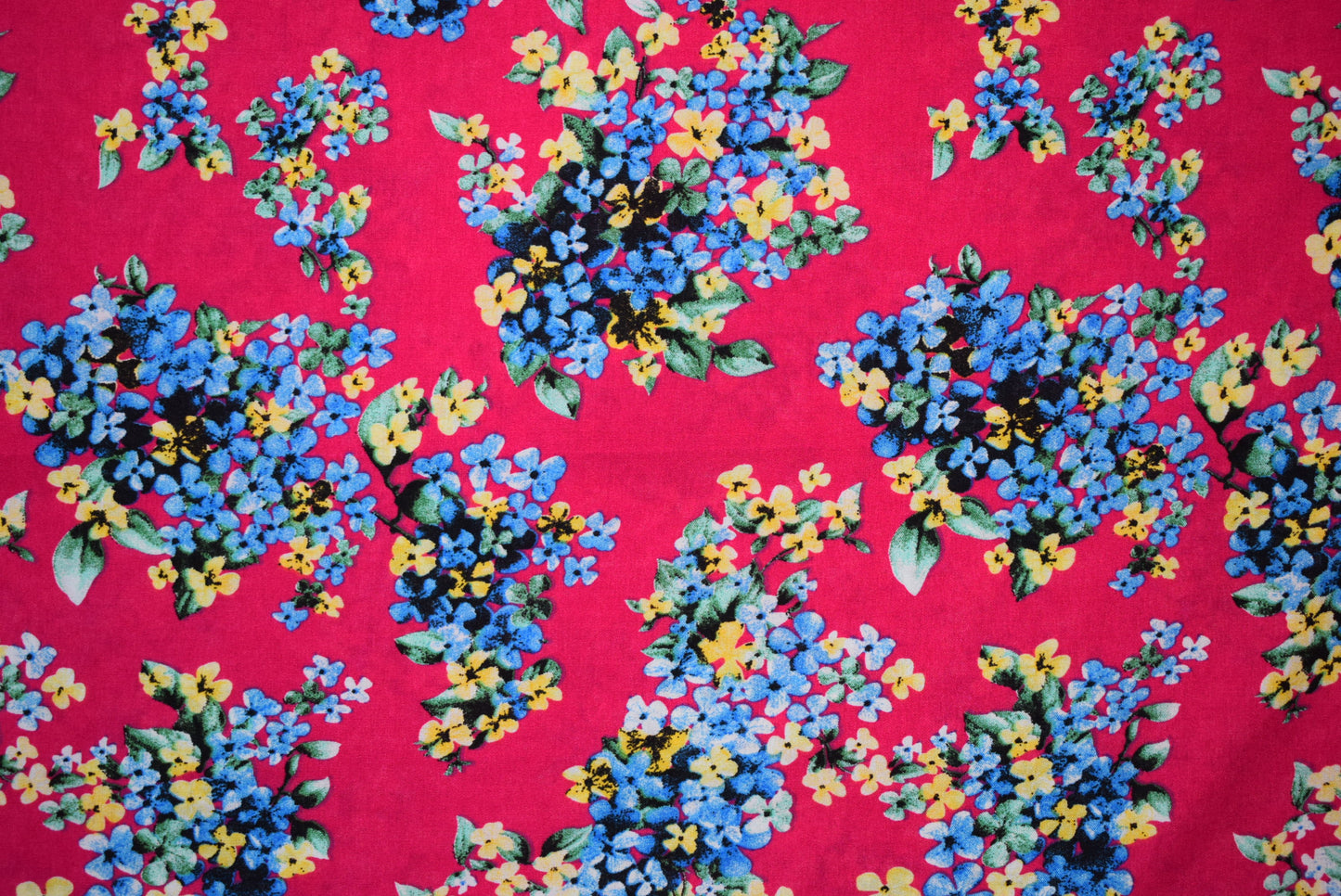 'Blue Bouquet' Javannaise - Cerise