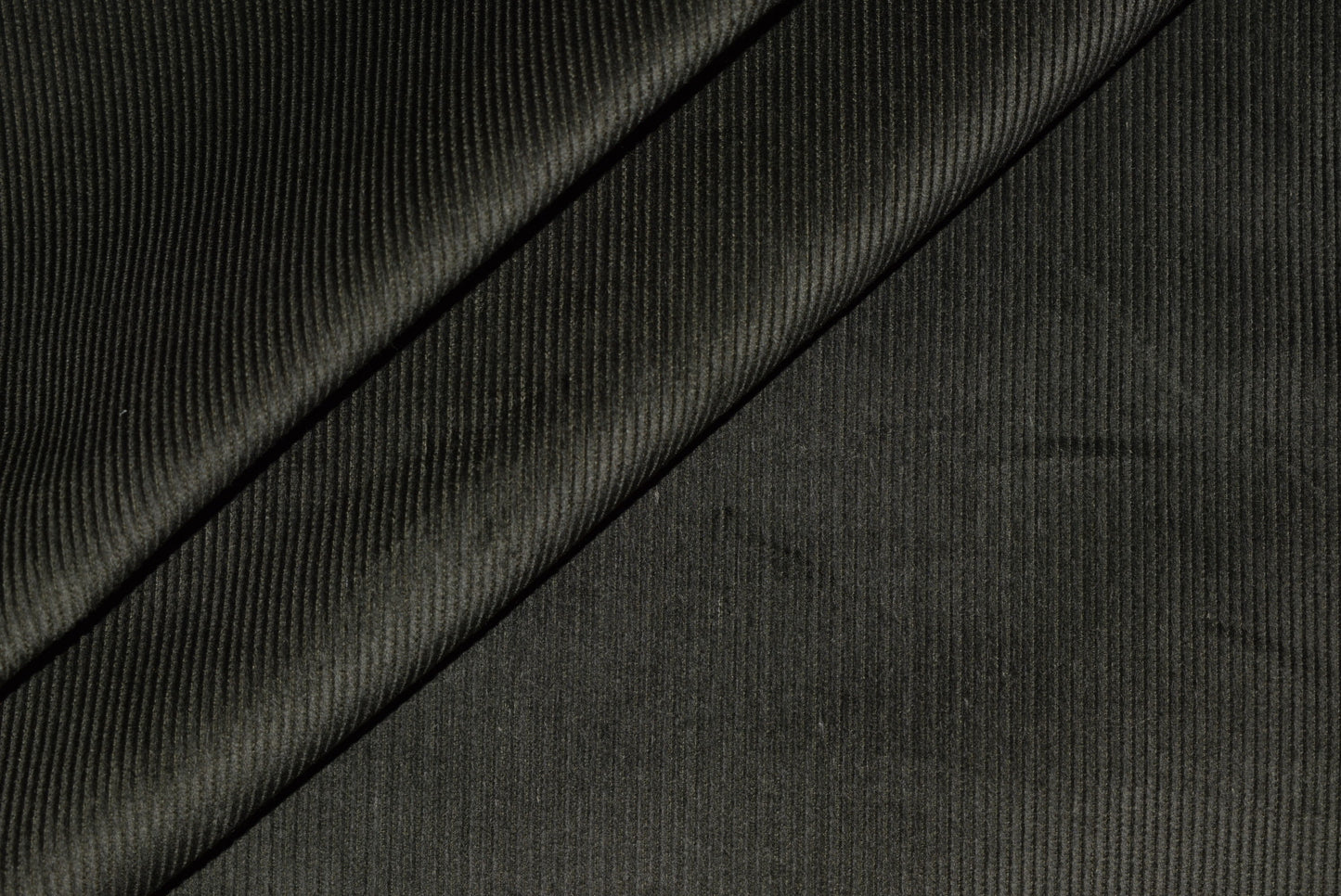 Corduroy