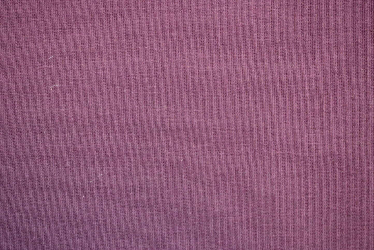 Loopbacked Jersey - Plum