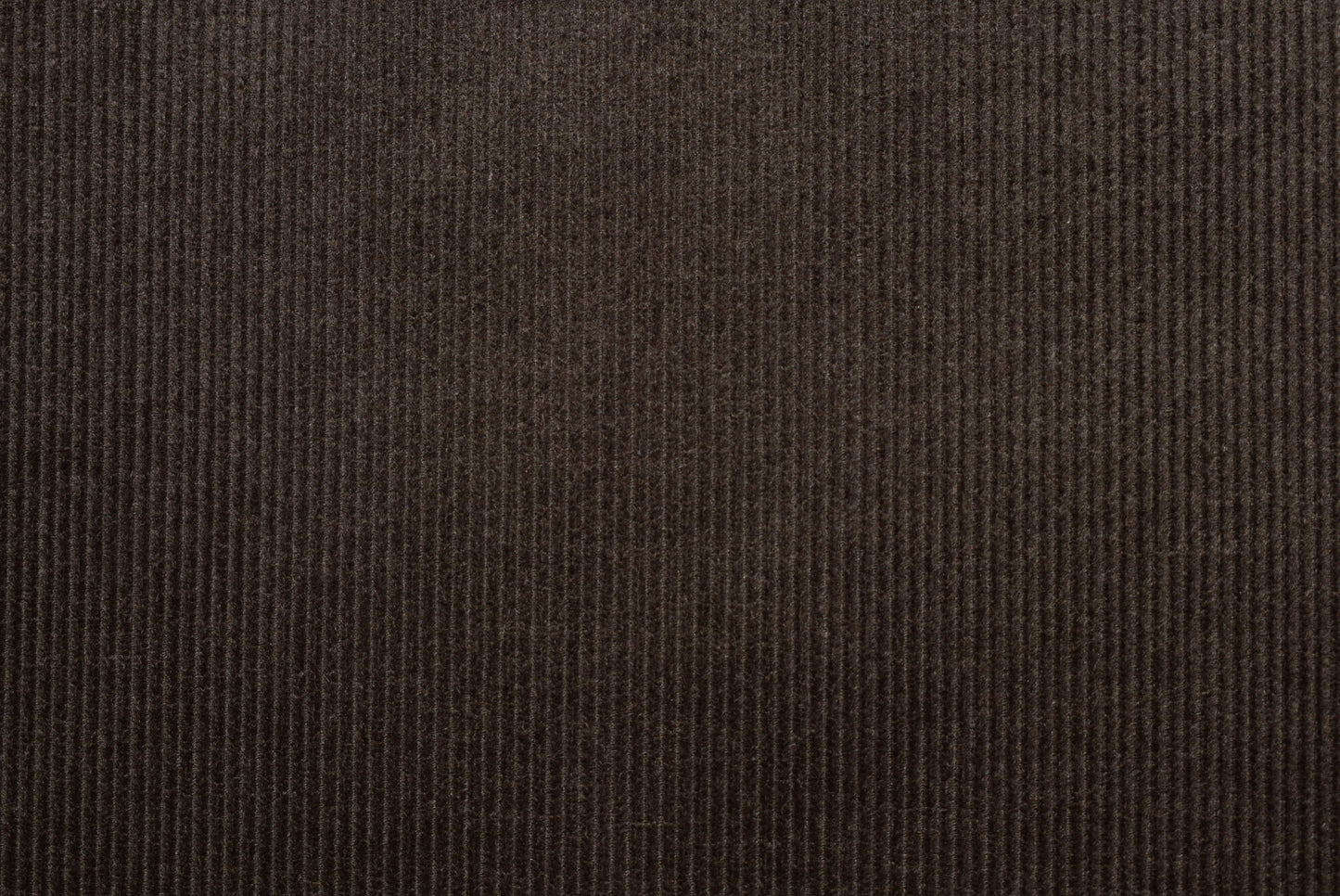 Corduroy