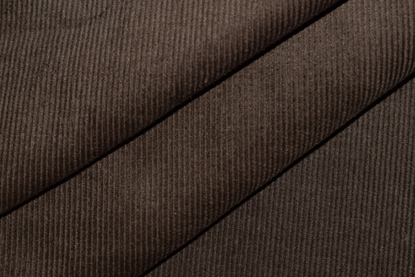Corduroy