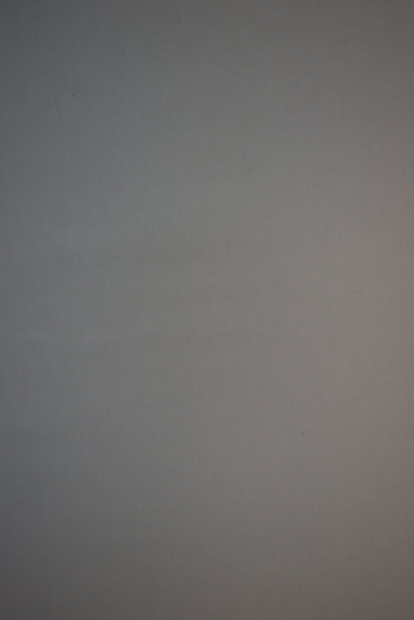 Organic Jersey - Ivory