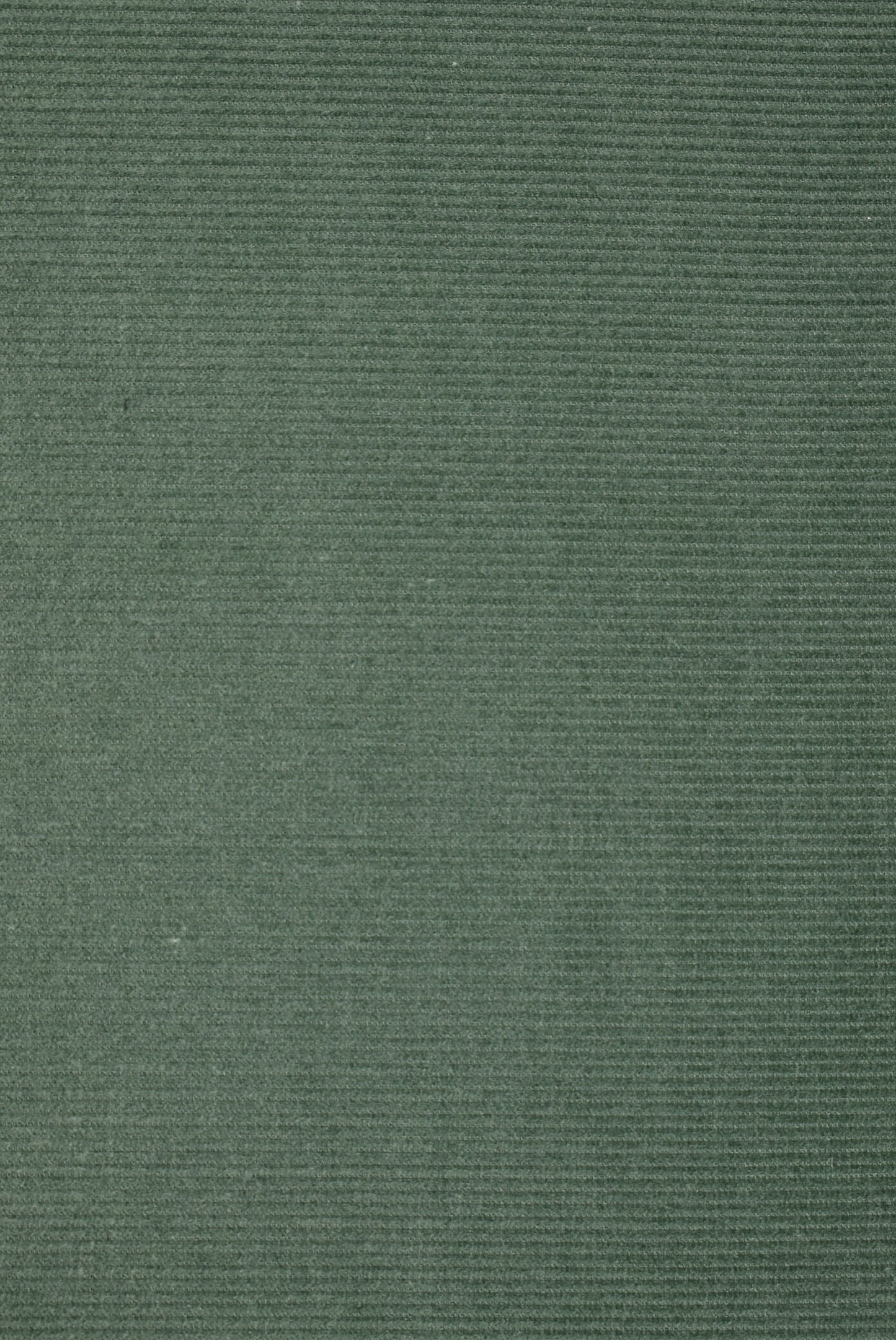 21Wale Needlecord - Sage