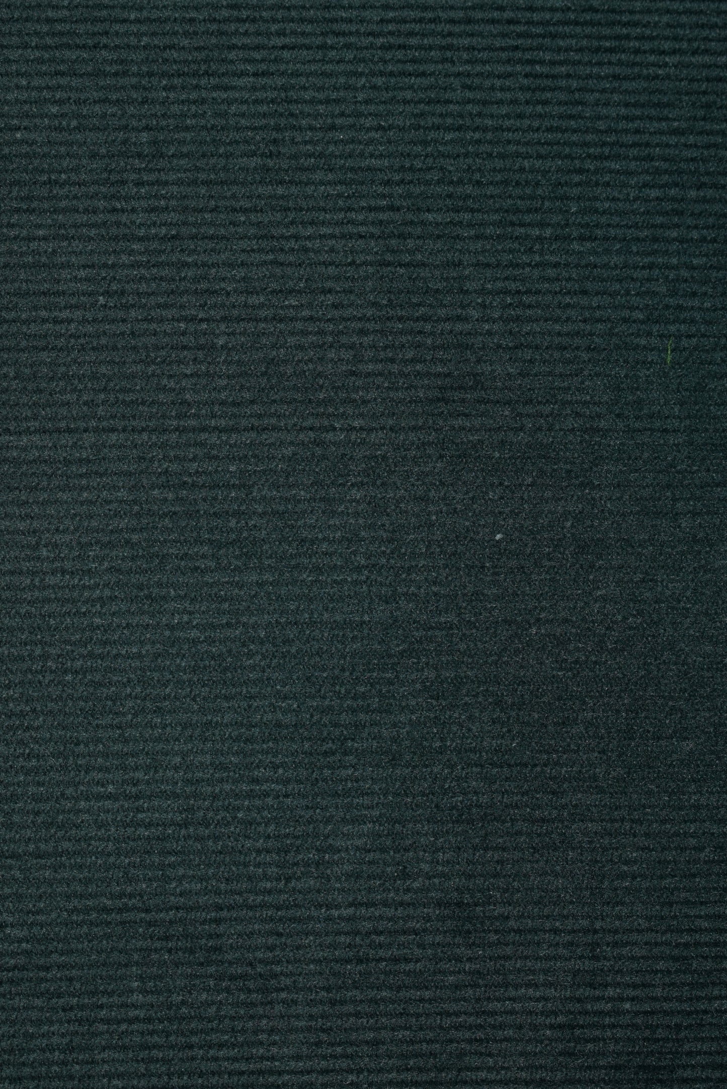 21Wale Needlecord - Sage