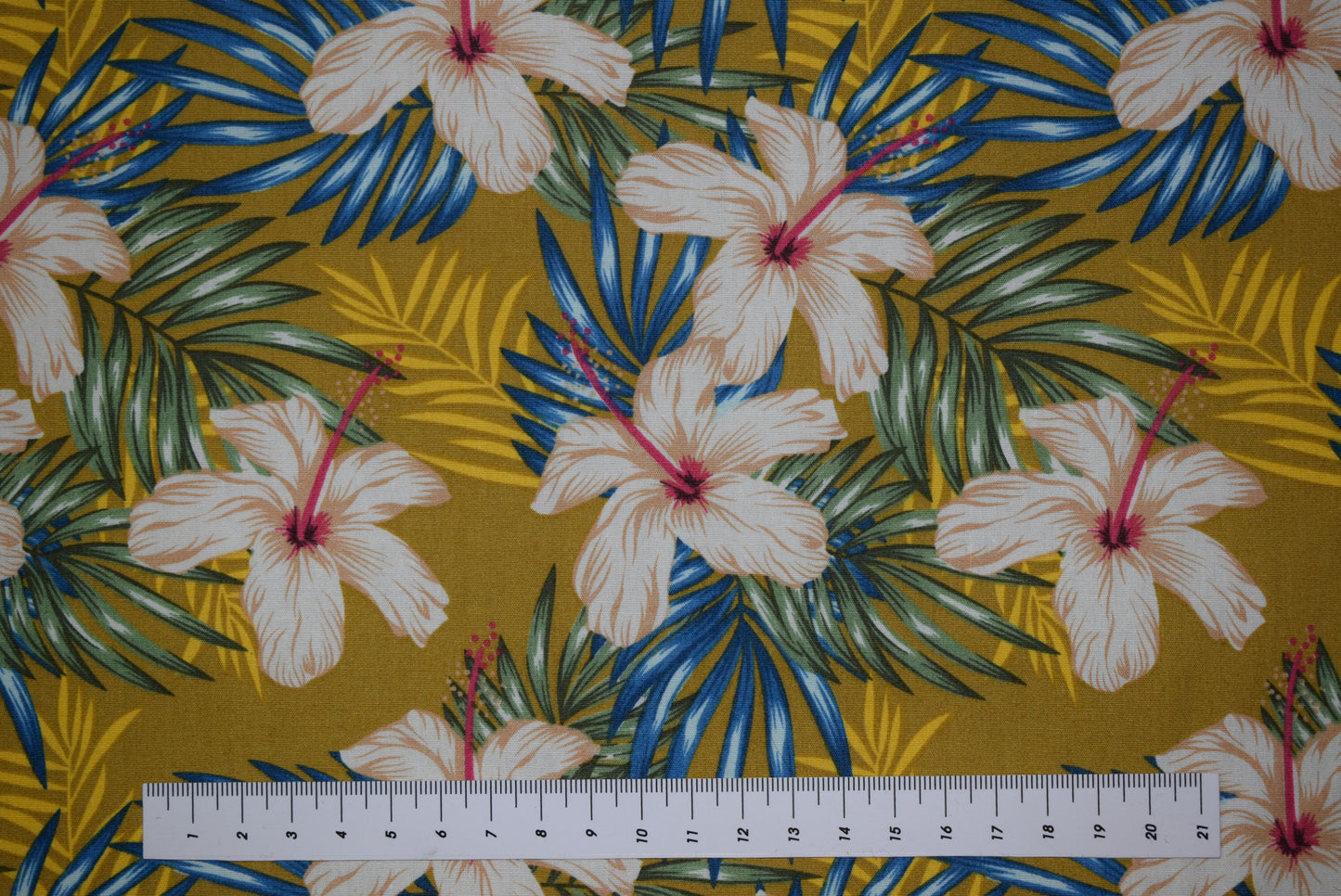 'Hibiscus' -Ochre