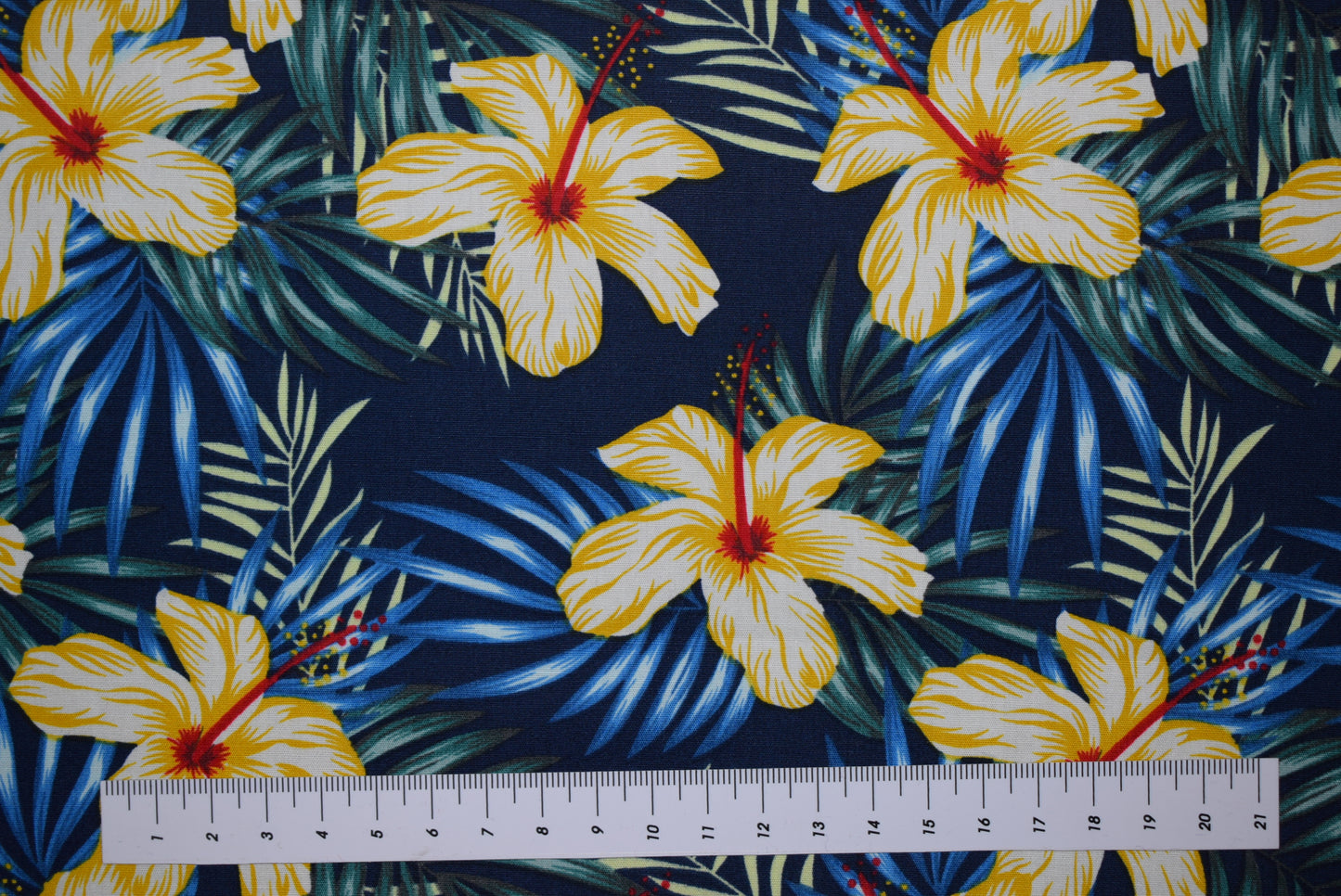 'Hibiscus' -Ochre