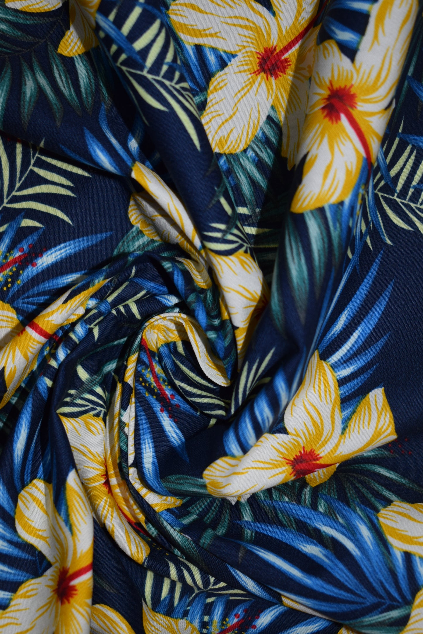 'Hibiscus' -Ochre