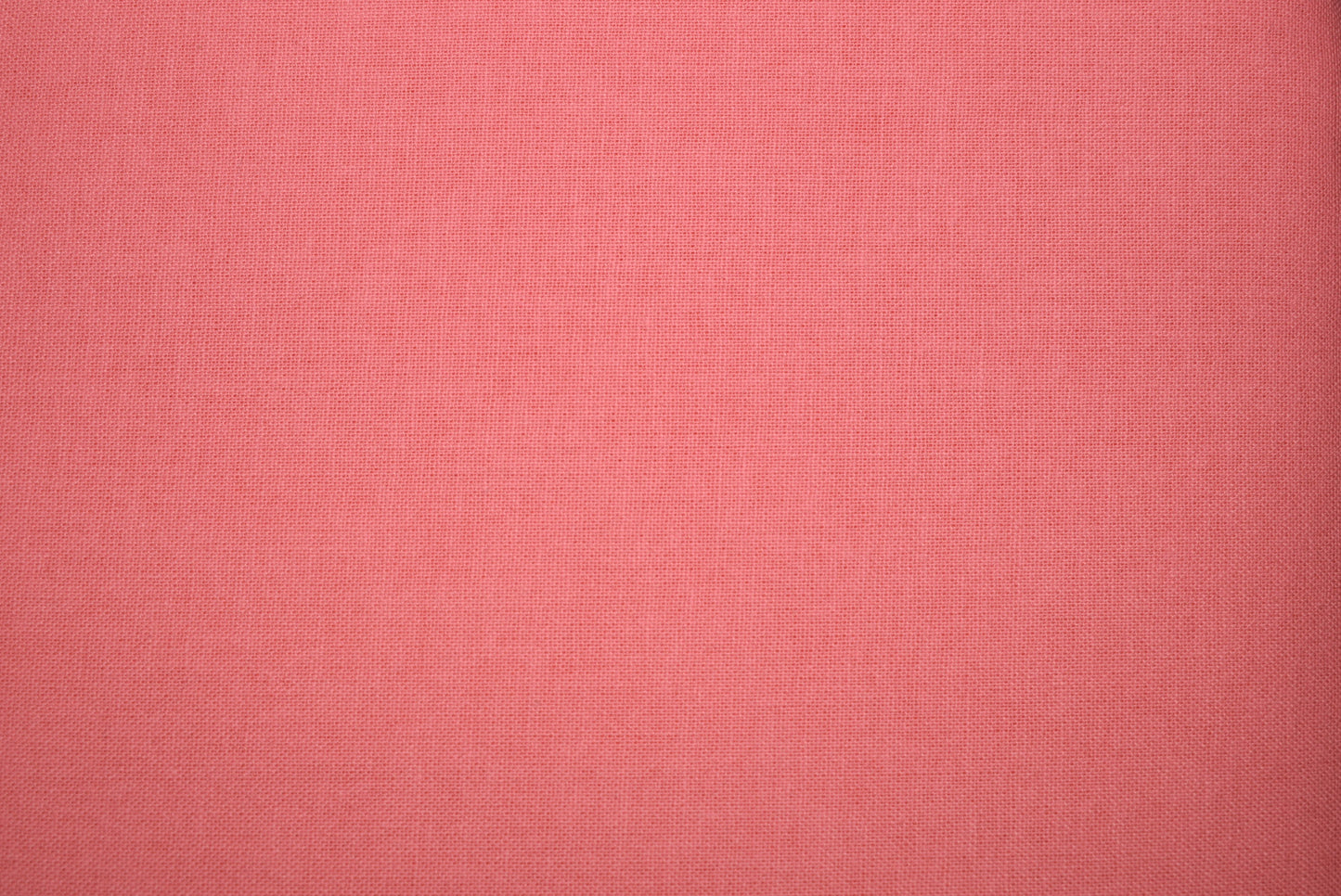 'Quilter's Plain' Coral