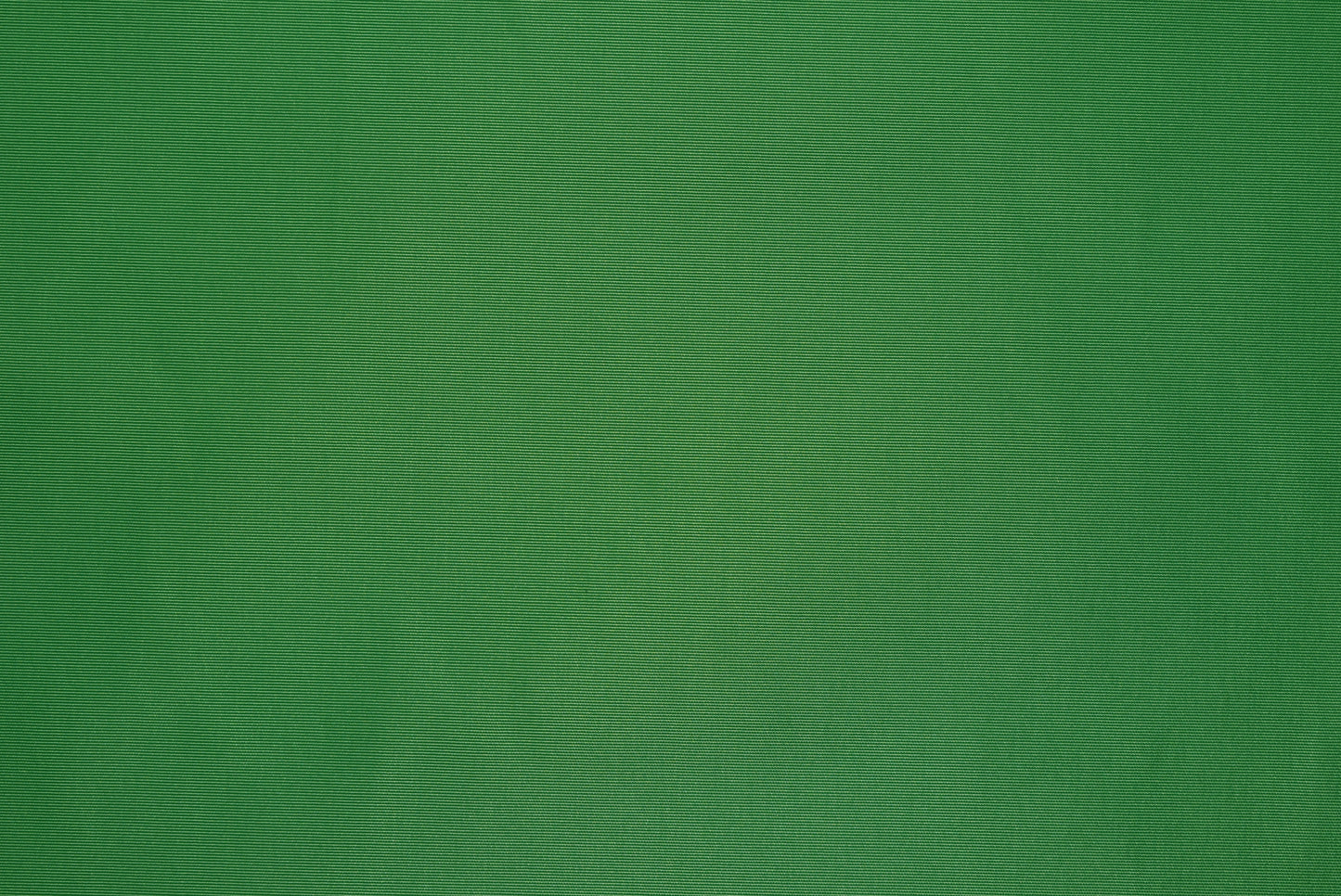 'Memory' Taffeta - Bright Green