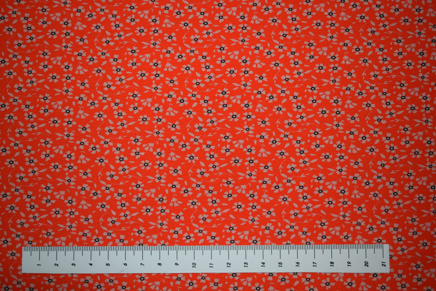 'Petite Fleur' Coral