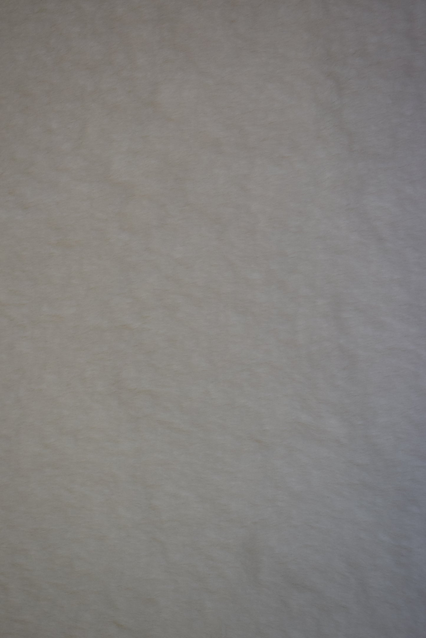Plush Fur - Winter White