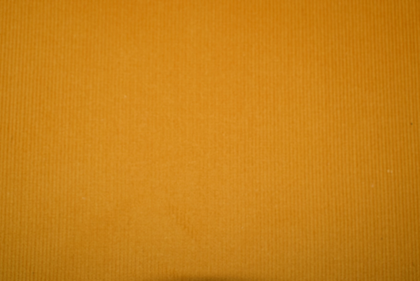 21 Wale Needlecord - Ochre