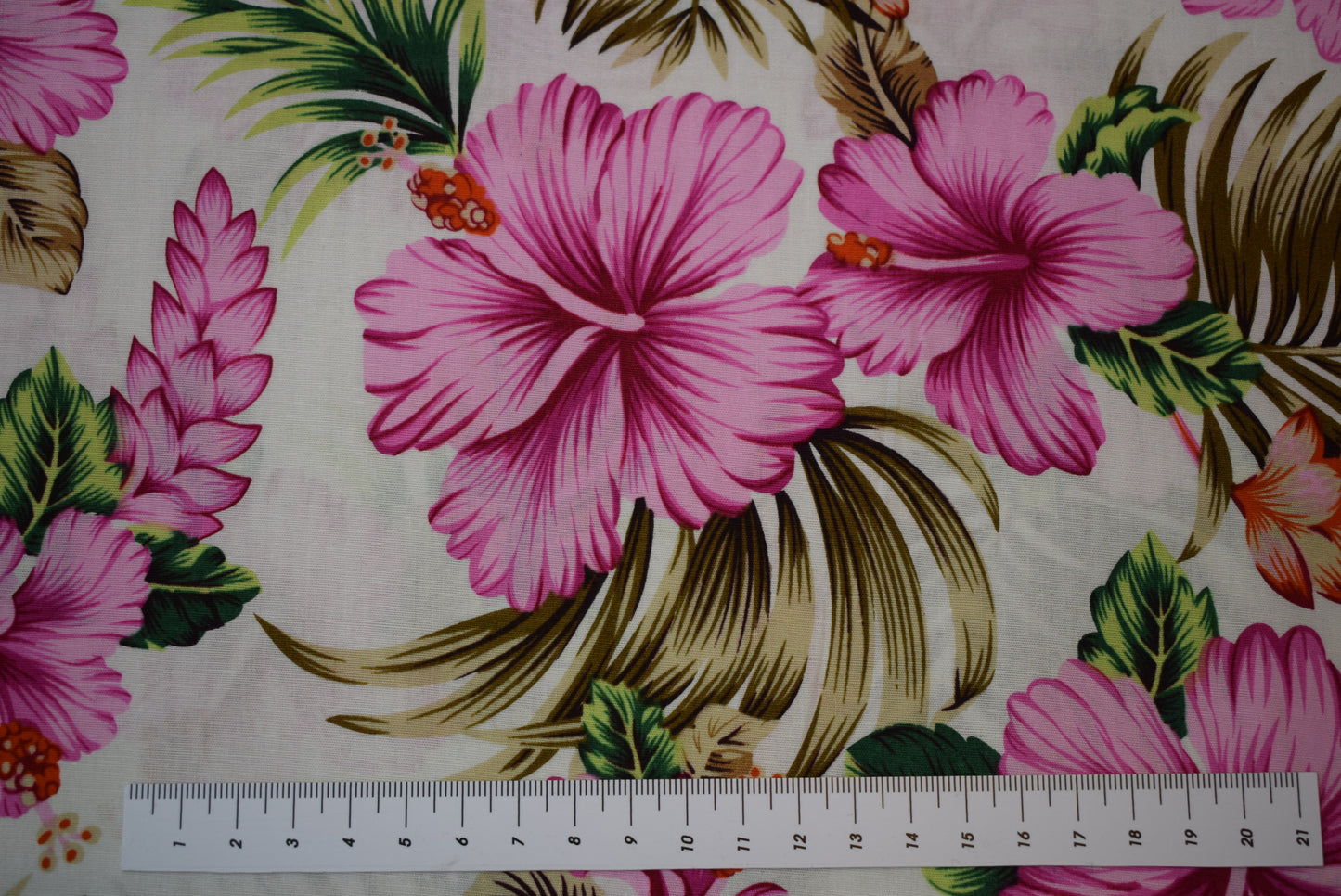 'Hibiscus' white