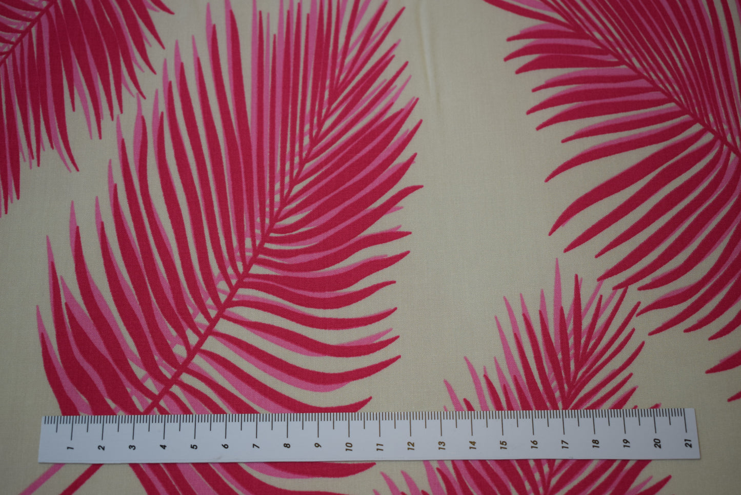 'Palm Leaf' Javannaise - cerise