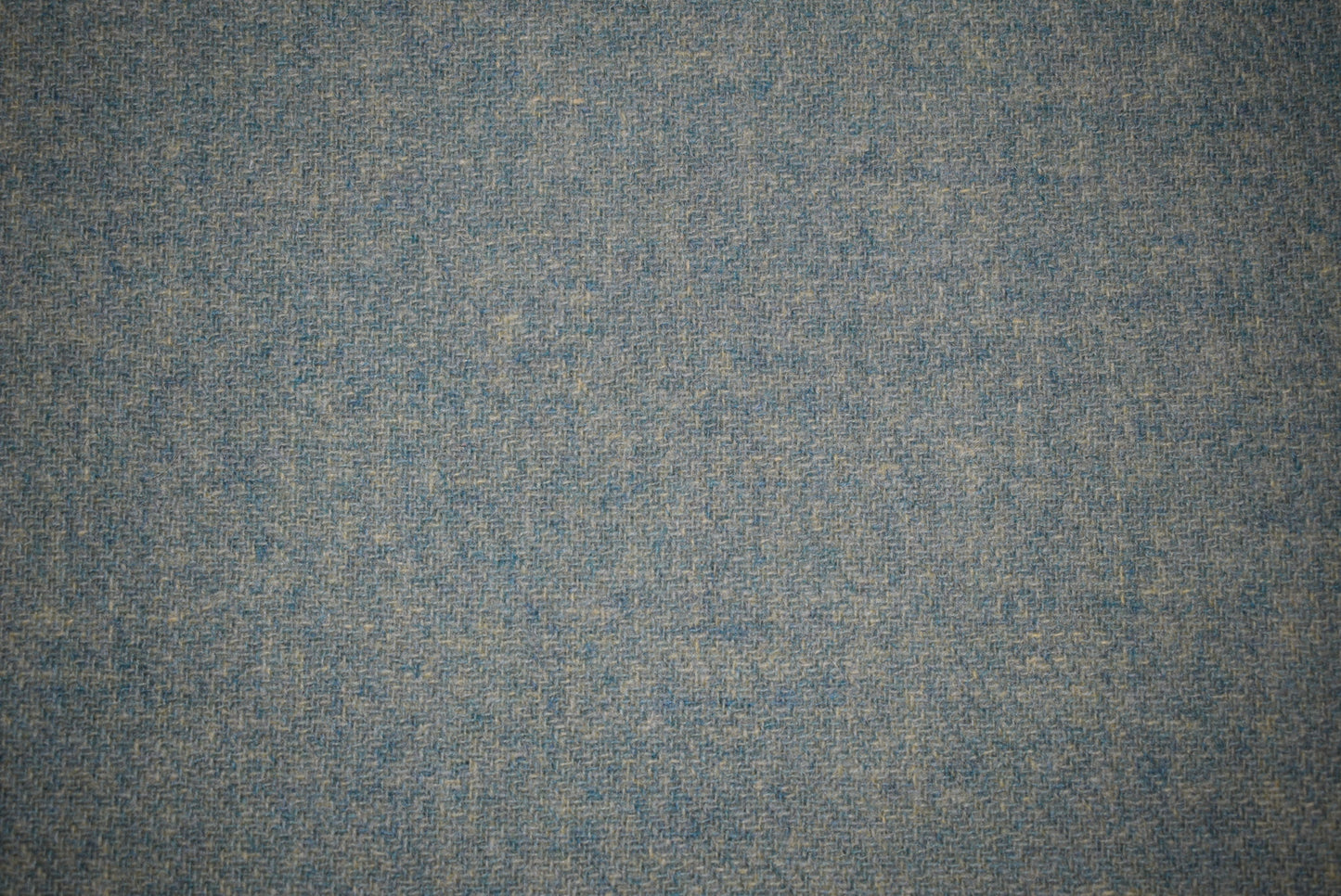 Rosemary Tweed