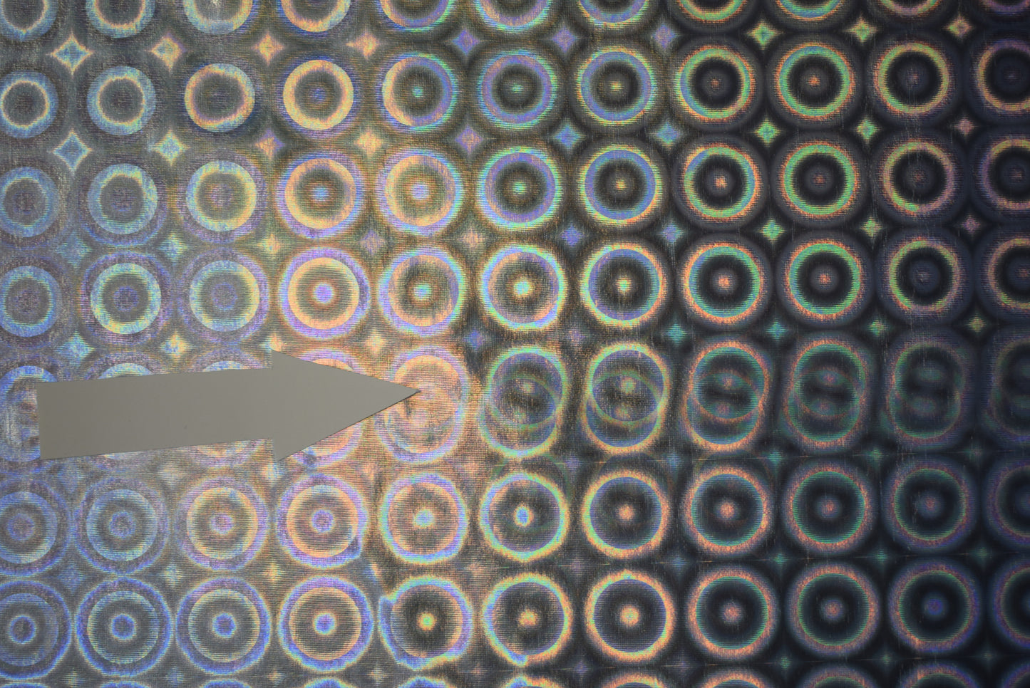 'Circles' Holo-Foil - 58cms repeat