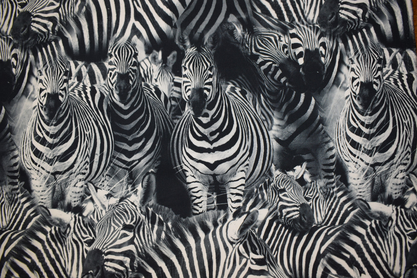'Zebras' Digital Print Twill