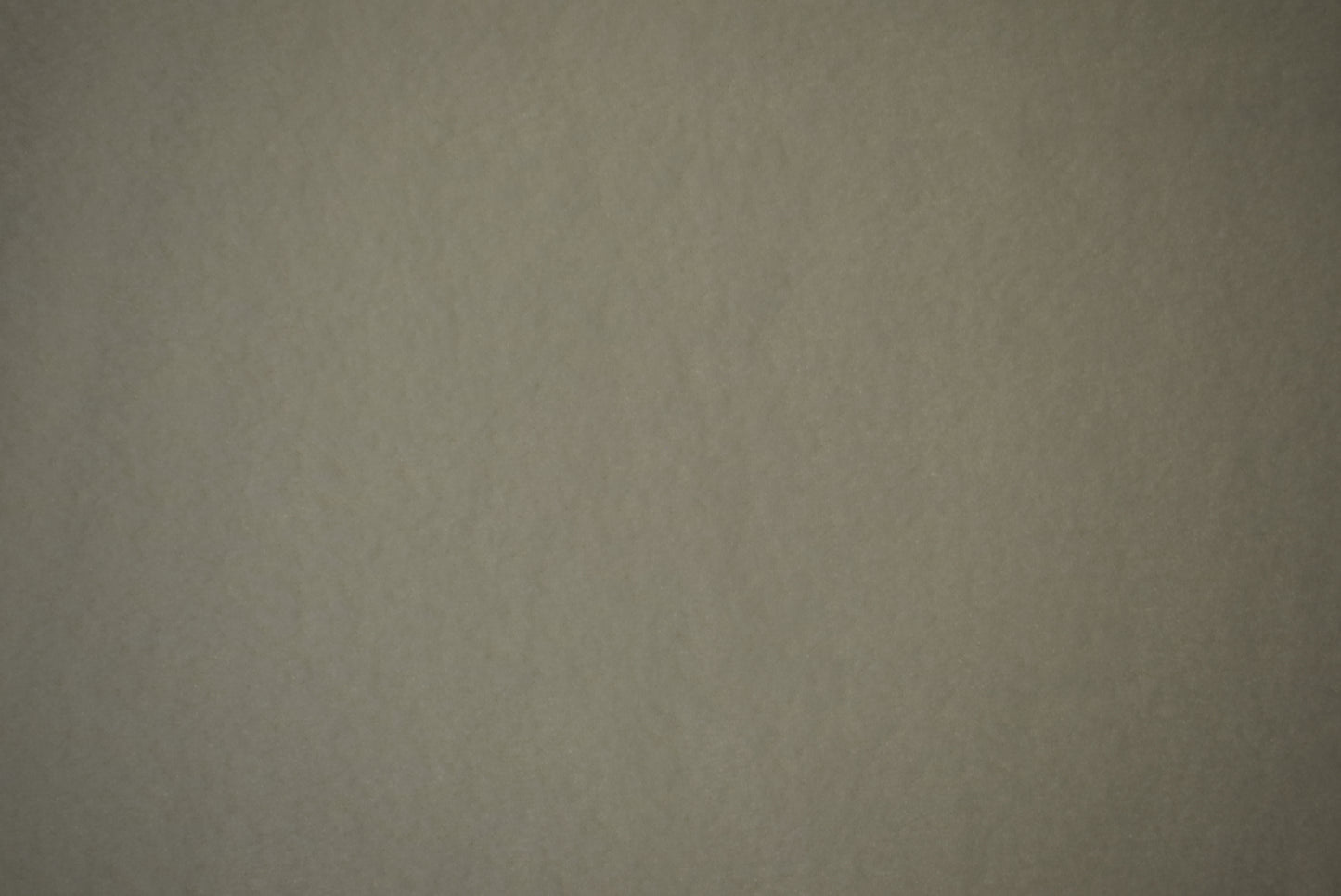 Polyester Fleece - 13 colourways