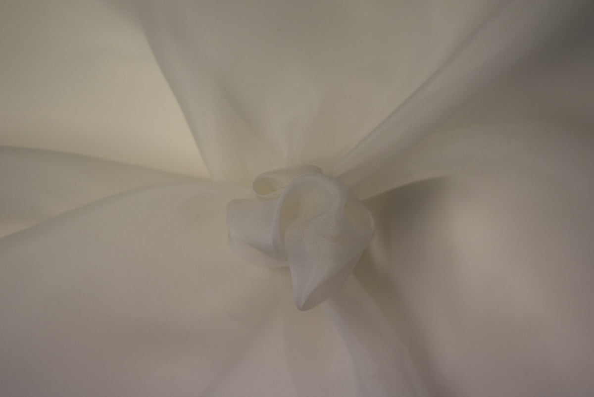 Ivory Silk Organza