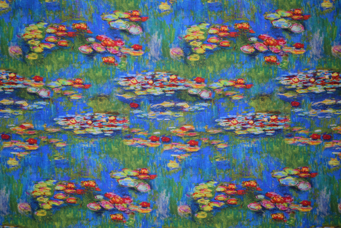 'Water Lily'