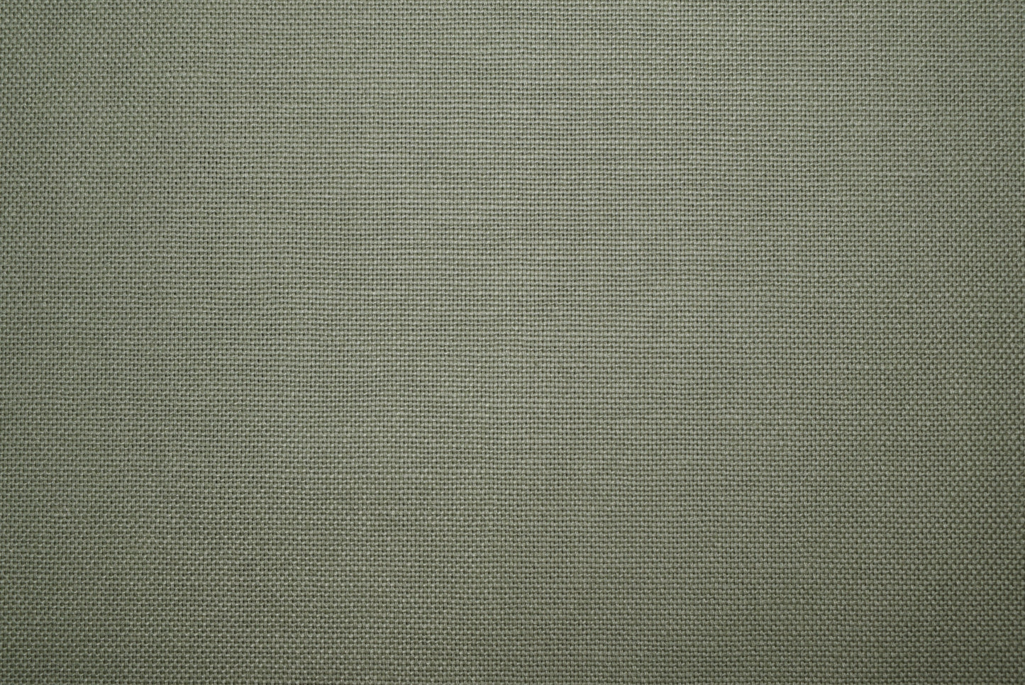 Cotton Canvas