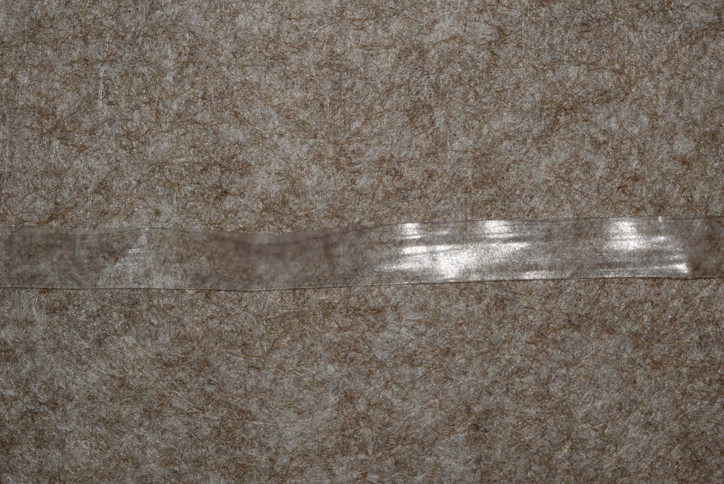 10mm Clear Swimwear Elastic